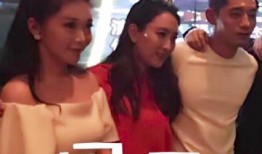 马苏爆料小视频,揭秘娱乐圈幕后真相